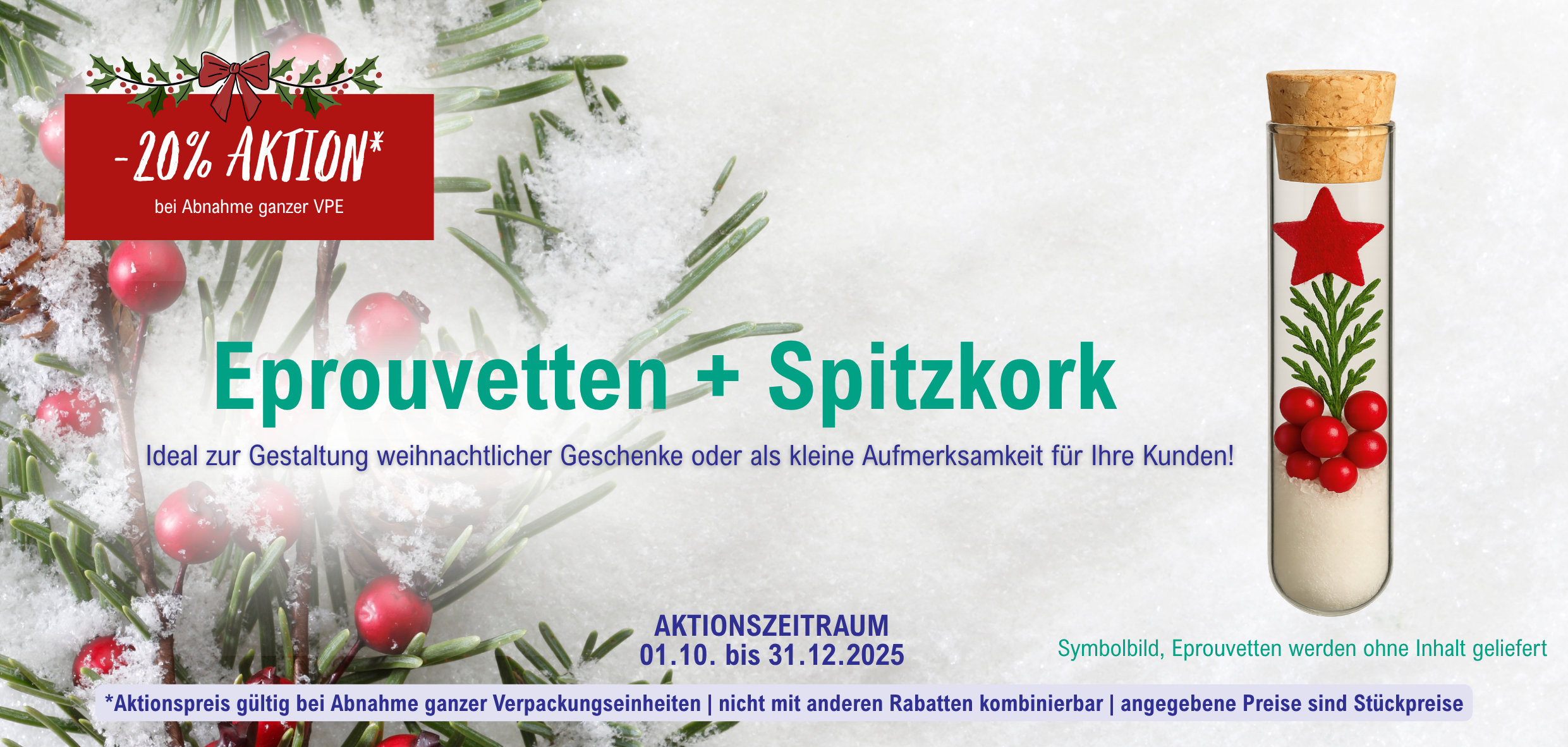 Weihnachts-Aktion